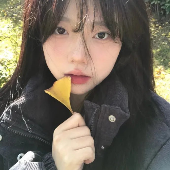 月歌